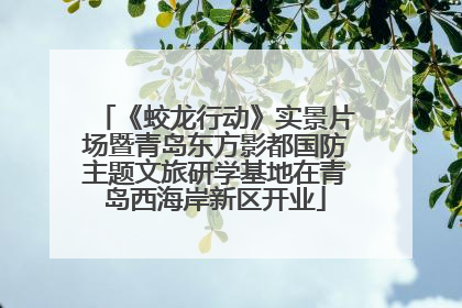 《蛟龙行动》实景片场暨青岛东方影都国防主题文旅研学基地在青岛西海岸新区开业
