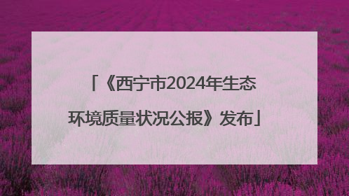 《西宁市2024年生态环境质量状况公报》发布