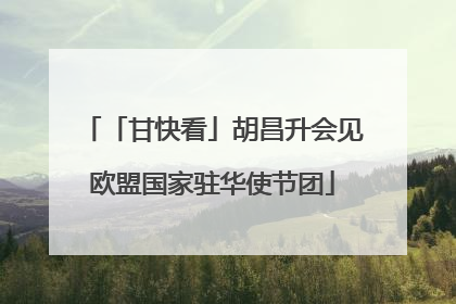 「甘快看」胡昌升会见欧盟国家驻华使节团