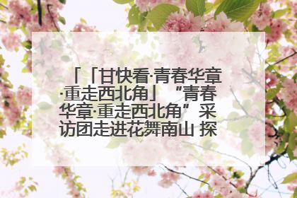 「甘快看·青春华章·重走西北角」“青春华章·重走西北角”采访团走进花舞南山 探寻天水乡村振兴之路
