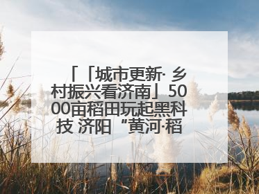 「城市更新· 乡村振兴看济南」5000亩稻田玩起黑科技 济阳“黄河·稻乡湾”靠“非遗+露营”火出圈