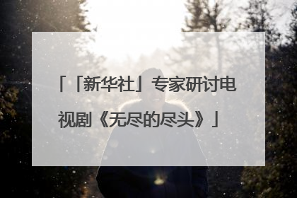 「新华社」专家研讨电视剧《无尽的尽头》