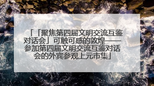 「聚焦第四届文明交流互鉴对话会」可触可感的敦煌——参加第四届文明交流互鉴对话会的外宾参观上元市集