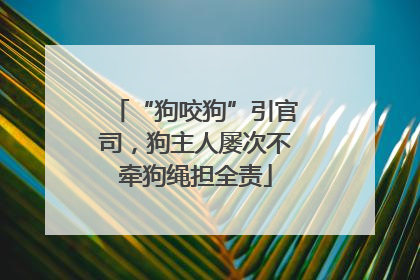 “狗咬狗”引官司，狗主人屡次不牵狗绳担全责