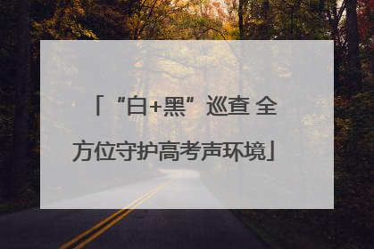 “白+黑”巡查 全方位守护高考声环境