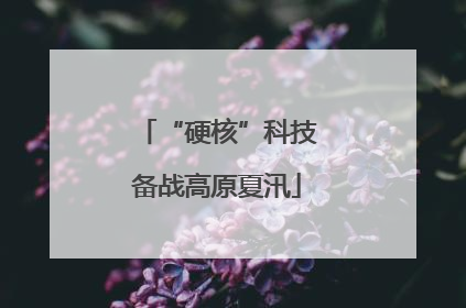 “硬核”科技备战高原夏汛