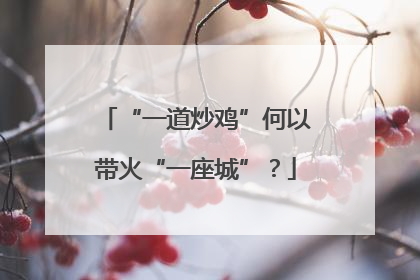 “一道炒鸡”何以带火“一座城”？