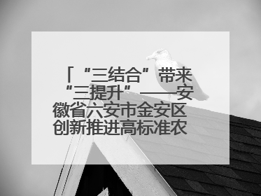 “三结合”带来“三提升”——安徽省六安市金安区创新推进高标准农田建设