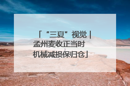 “三夏”视觉｜孟州麦收正当时 机械减损保归仓