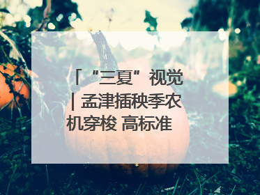 “三夏”视觉｜孟津插秧季农机穿梭 高标准农田披绿装