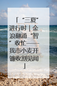 “三夏”进行时｜金浪翻涌“智”收忙——我市小麦开镰收割见闻