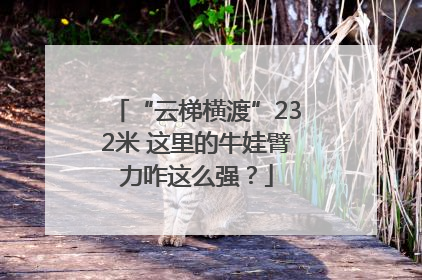 “云梯横渡”232米 这里的牛娃臂力咋这么强？