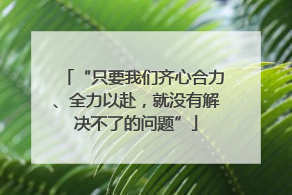 “只要我们齐心合力、全力以赴，就没有解决不了的问题”