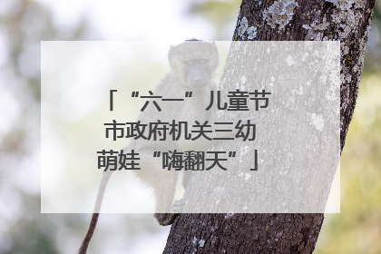 “六一”儿童节 市政府机关三幼萌娃“嗨翻天”
