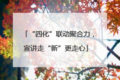 “四化”联动聚合力，宣讲走“新”更走心