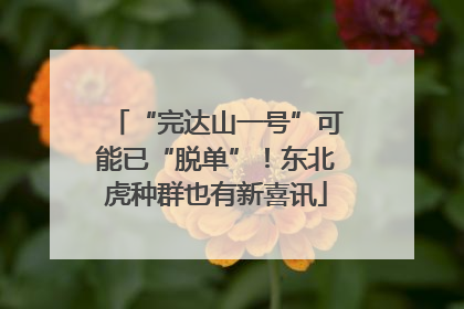 “完达山一号”可能已“脱单”！东北虎种群也有新喜讯