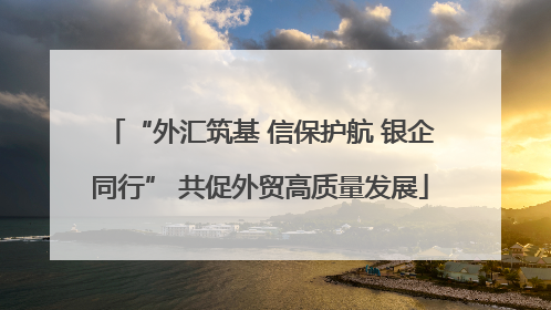 “外汇筑基 信保护航 银企同行” 共促外贸高质量发展