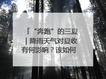 “奔跑”的三夏｜降雨天气对夏收有何影响？该如何防范？一文了解
