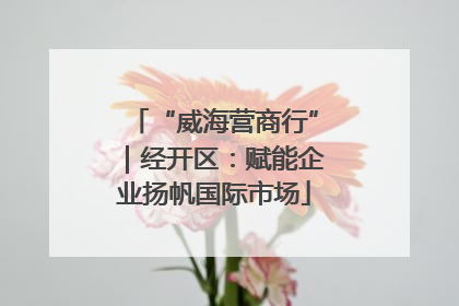 “威海营商行”｜经开区：赋能企业扬帆国际市场