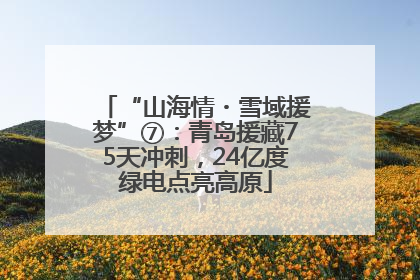 “山海情・雪域援梦”⑦：青岛援藏75天冲刺，24亿度绿电点亮高原