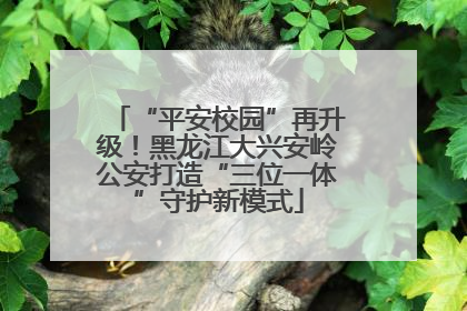 “平安校园”再升级！黑龙江大兴安岭公安打造“三位一体”守护新模式