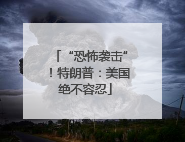 “恐怖袭击”！特朗普：美国绝不容忍