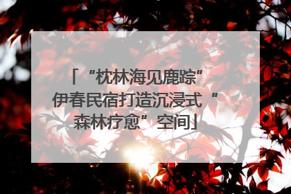 “枕林海见鹿踪” 伊春民宿打造沉浸式“森林疗愈”空间