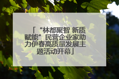 “林都聚智 新质赋能”民营企业家助力伊春高质量发展主题活动开幕
