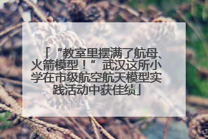 “教室里摆满了航母、火箭模型！”武汉这所小学在市级航空航天模型实践活动中获佳绩