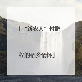 “新农人”付鹏程的稻乡情怀