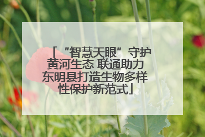 “智慧天眼”守护黄河生态 联通助力东明县打造生物多样性保护新范式
