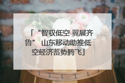 “智驭低空 翼展齐鲁” 山东移动助推低空经济蓄势腾飞