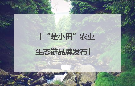 “楚小田”农业生态链品牌发布
