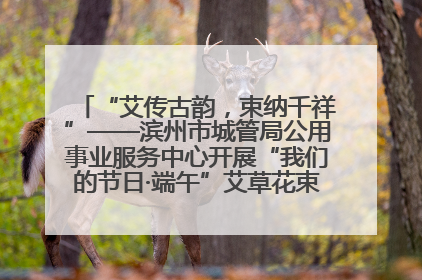“艾传古韵，束纳千祥”——滨州市城管局公用事业服务中心开展“我们的节日·端午”艾草花束制作主题活动