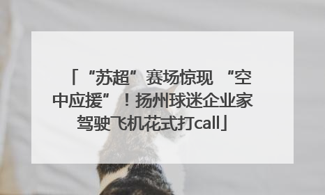 “苏超”赛场惊现 “空中应援”！扬州球迷企业家驾驶飞机花式打call