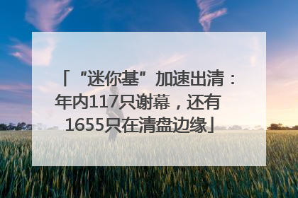 “迷你基”加速出清：年内117只谢幕，还有1655只在清盘边缘