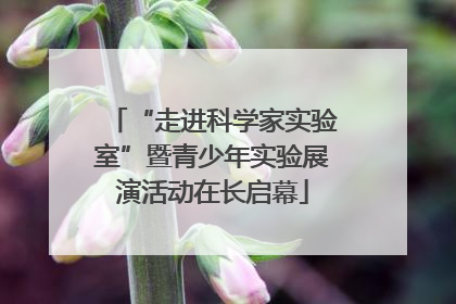 “走进科学家实验室”暨青少年实验展演活动在长启幕