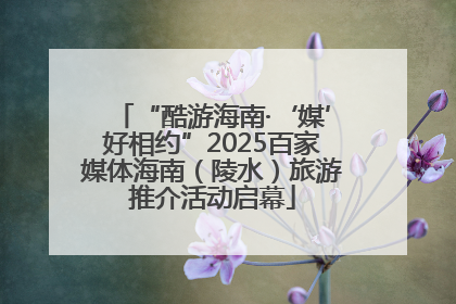 “酷游海南·‘媒’好相约”2025百家媒体海南（陵水）旅游推介活动启幕