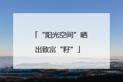 “阳光空间”晒出致富“籽”