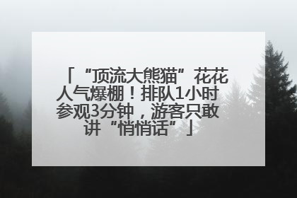 “顶流大熊猫”花花人气爆棚！排队1小时参观3分钟，游客只敢讲“悄悄话”