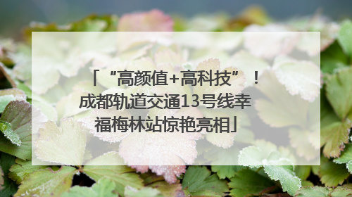 “高颜值+高科技”！成都轨道交通13号线幸福梅林站惊艳亮相