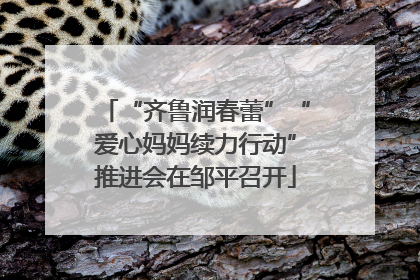 “齐鲁润春蕾”“爱心妈妈续力行动”推进会在邹平召开