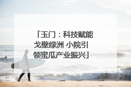 玉门：科技赋能戈壁绿洲 小院引领蜜瓜产业振兴