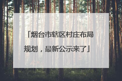 烟台市辖区村庄布局规划，最新公示来了