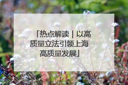 热点解读｜以高质量立法引领上海高质量发展
