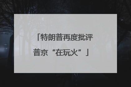 特朗普再度批评普京“在玩火”