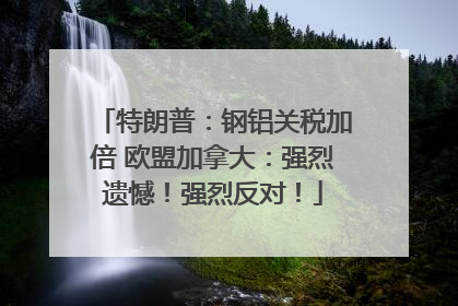 特朗普：钢铝关税加倍 欧盟加拿大：强烈遗憾！强烈反对！