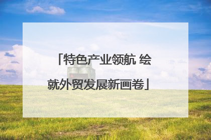 特色产业领航 绘就外贸发展新画卷