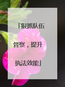 狠抓队伍督察，提升执法效能