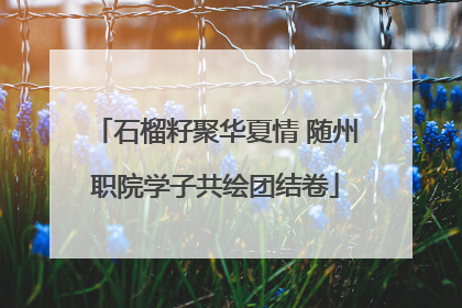 石榴籽聚华夏情 随州职院学子共绘团结卷